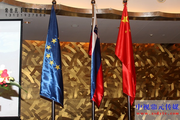 国旗Vv.jpg